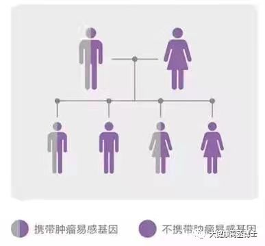 健康托付，關(guān)愛彼此 腫瘤基因檢測在療養(yǎng)院中的守護(hù)與溫度