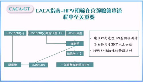 魏冰教授深入解讀基因檢測規范,助力腫瘤患者邁入精準治療時代